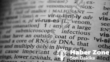 İngilizce Kelime Oyunu: Zorlu Kavramları Kolayca Anlama Yolları