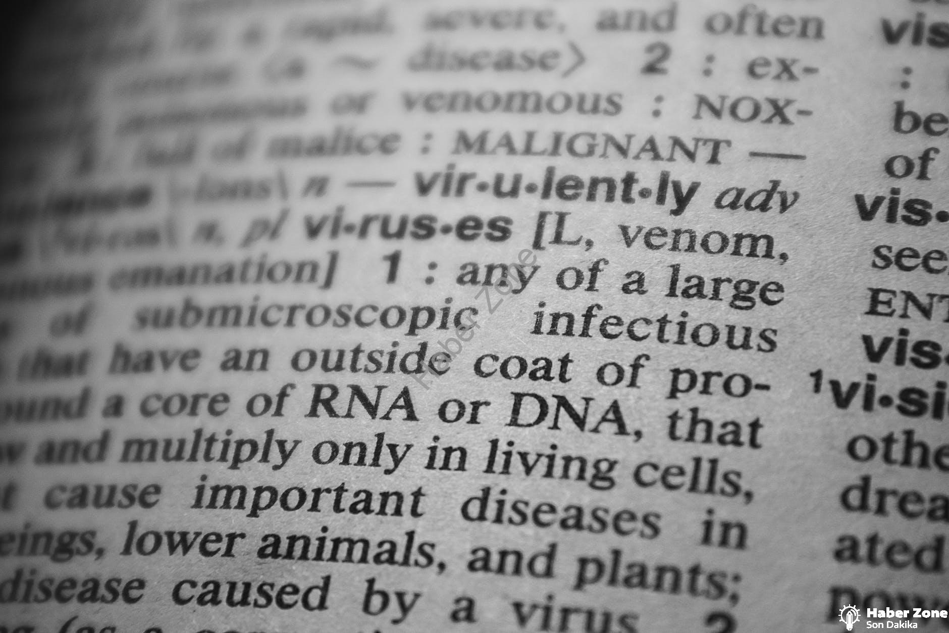 İngilizce Kelime Oyunu: Zorlu Kavramları Kolayca Anlama Yolları