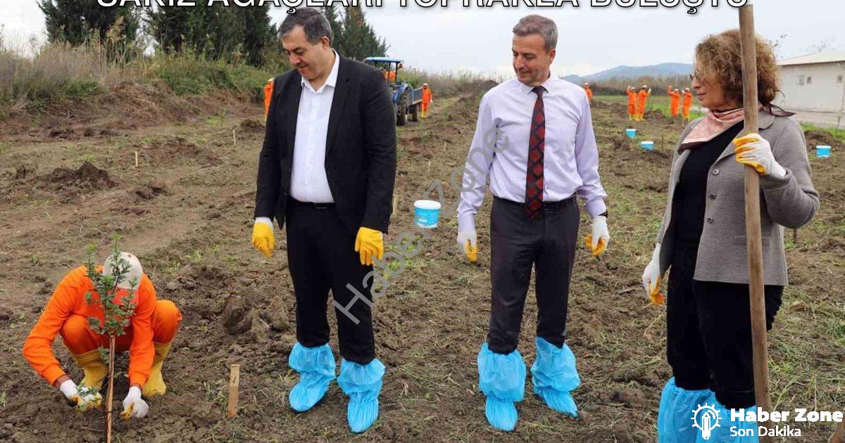 "Dalaman Açık Cezaevi'nde Tarımsal Hamle: Sakız Ağaçları Toprakla Buluştu" başlıklı haber için fotor