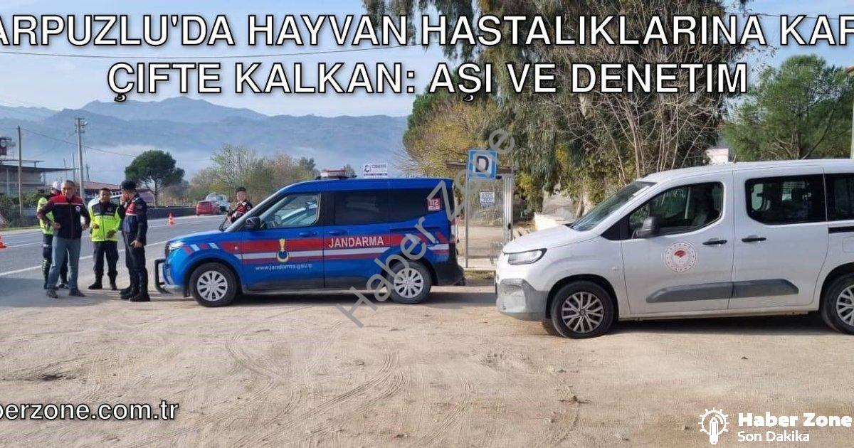 "Karpuzlu'da Hayvan Hastalıklarına Karşı Çifte Kalkan: Aşı ve Denetim" başlıklı haber için fotoreali