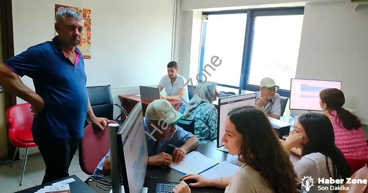 "Söke Ovası'nda Tarım Sayımı Rekor Seviyeye Ulaştı: Yüzde 90 Tamam" başlıklı haber için fotorealisti