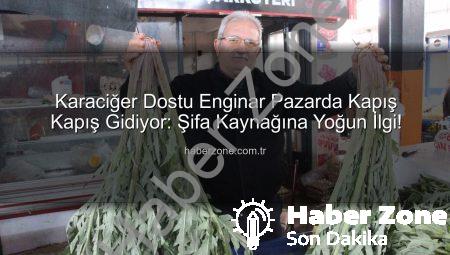 Karaciğer Dostu Enginar Pazarda Kapış Kapış Gidiyor: Şifa Kaynağına Yoğun İlgi!