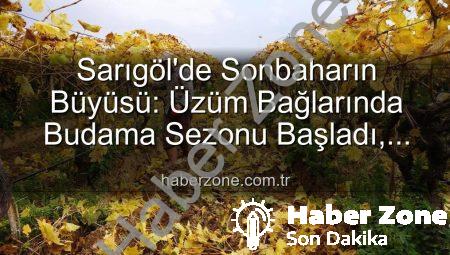Sarıgöl’de Sonbaharın Büyüsü: Üzüm Bağlarında Budama Sezonu Başladı, Eşsiz Manzaralar Eşlik Ediyor