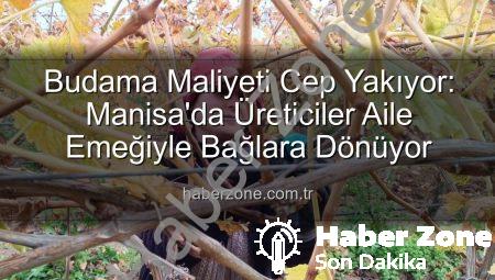 Budama Maliyeti Cep Yakıyor: Manisa’da Üreticiler Aile Emeğiyle Bağlara Dönüyor