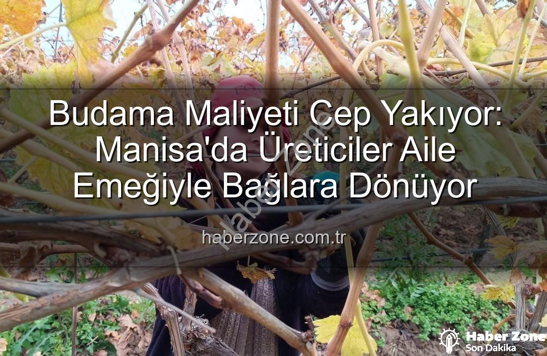 üzüm budama maliyeti - Budama Maliyeti Cep Yakıyor: Manisa'da Üreticiler Aile Emeğiyle Bağlara Dönüyor