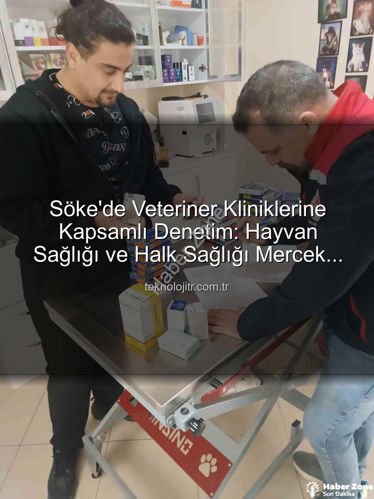 Söke veteriner klinik denetimi - Söke'de Veteriner Kliniklerine Kapsamlı Denetim: Hayvan Sağlığı ve Halk Sağlığı Güvence Altında
