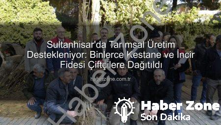 Sultanhisar’da Tarımsal Üretim Destekleniyor: Binlerce Kestane ve İncir Fidesi Çiftçilere Dağıtıldı