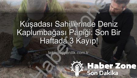 Kuşadası Sahillerinde Endişe Veren Durum: Bir Haftada 3 Deniz Kaplumbağası Ölü Bulundu