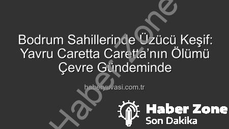 Bodrum Sahillerinde Acı Görüntü: Yavru Caretta Caretta’nın Ölümü Şok Etti