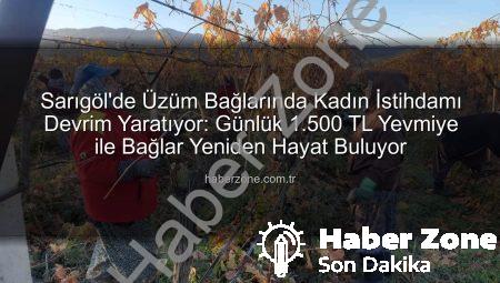 Sarıgöl’de Üzüm Bağlarında Kadın İstihdamı Devrim Yaratıyor: Günlük 1.500 TL Yevmiye ile Bağlar Yeniden Hayat Buluyor