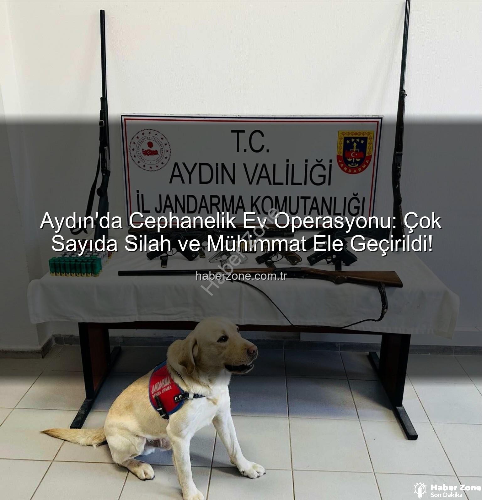 ruhsatsız silah - Aydın'da Cephanelik Ev Operasyonu: Çok Sayıda Silah ve Mühimmat Ele Geçirildi!