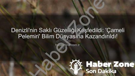 Denizli’nin Saklı Güzelliği Keşfedildi: ‘Çameli Pelemiri’ Bilim Dünyasına Kazandırıldı!