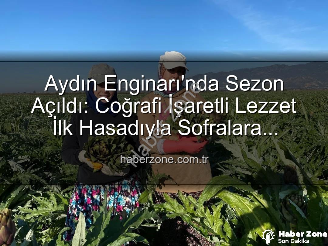 Aydın Enginarı - Aydın Enginarı'nda Sezon Açıldı: Coğrafi İşaretli Lezzet İlk Hasadıyla Sofralara Geliyor!