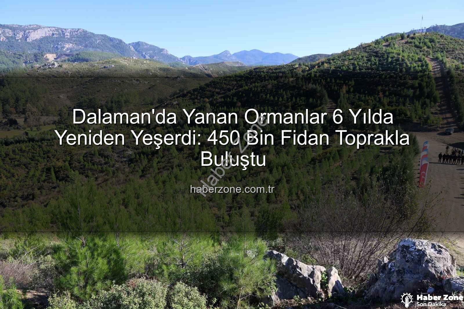 dalaman yangın alanı - Dalaman'da Yanan Ormanlar 6 Yılda Yeniden Yeşerdi: 450 Bin Fidan Toprakla Buluştu