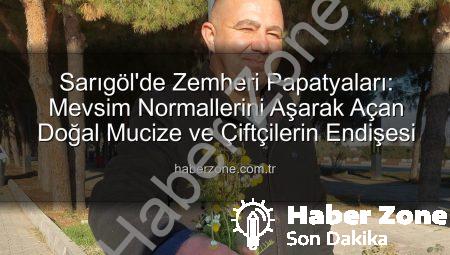 Sarıgöl’de Zemheri Papatyaları: Mevsim Normallerini Aşarak Açan Doğal Mucize ve Çiftçilerin Endişesi