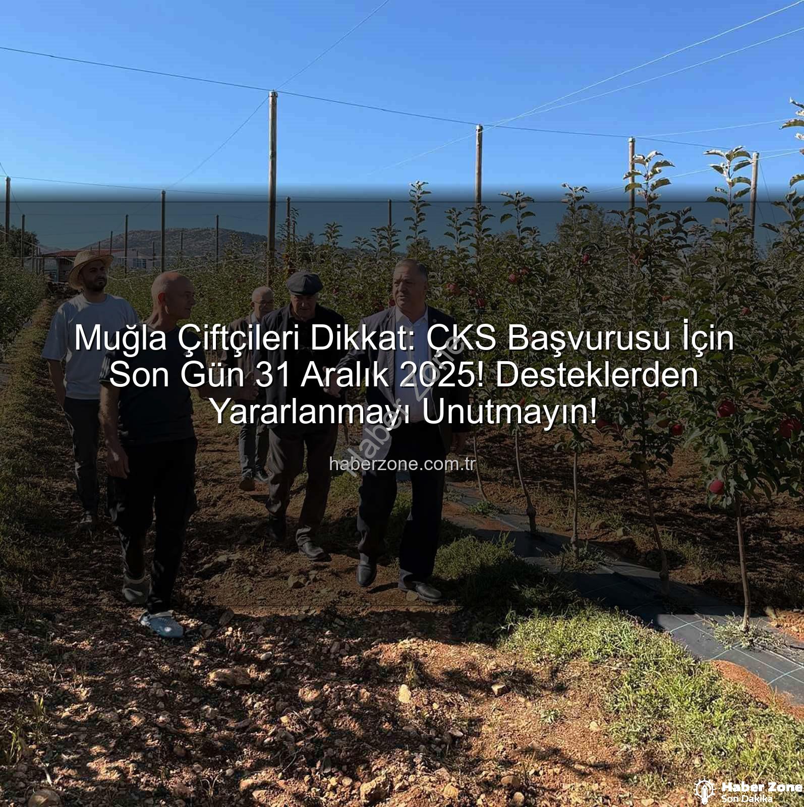 ÇKS başvurusu - Muğla Çiftçileri Dikkat: ÇKS Başvurusu İçin Son Gün 31 Aralık 2025! Desteklerden Yararlanmayı Unutmayın!
